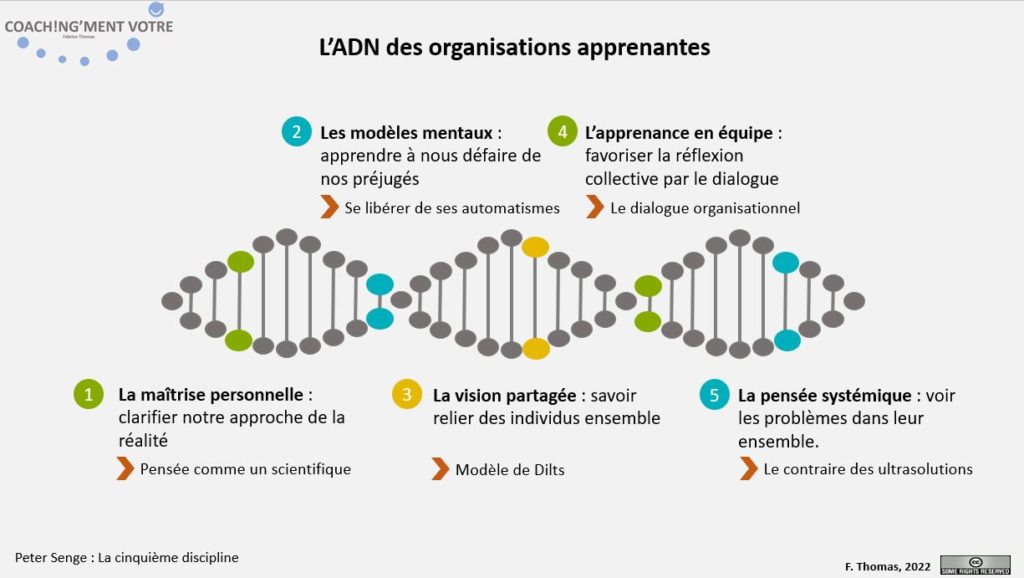 Coaching; Coach; Coach Nantes; Développement personnel; Développement professionnel; Développement d'équipes; Organisation; Coachingmentvotre; Management; Manager; Organisation Apprenante; 